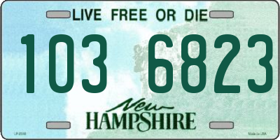 NH license plate 1036823