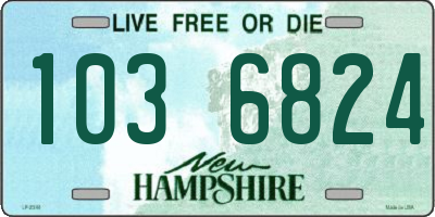 NH license plate 1036824