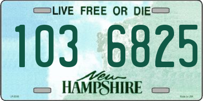 NH license plate 1036825