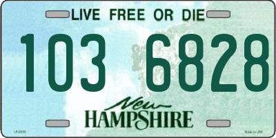 NH license plate 1036828
