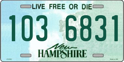 NH license plate 1036831