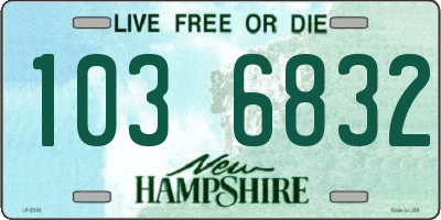 NH license plate 1036832