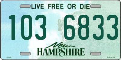 NH license plate 1036833