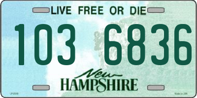 NH license plate 1036836