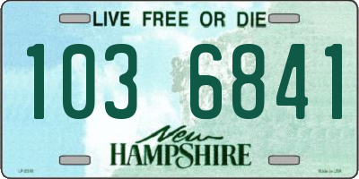 NH license plate 1036841