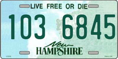 NH license plate 1036845