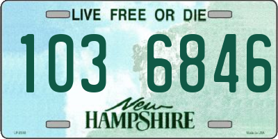 NH license plate 1036846