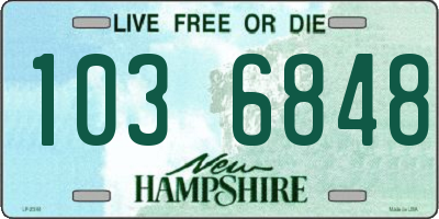 NH license plate 1036848