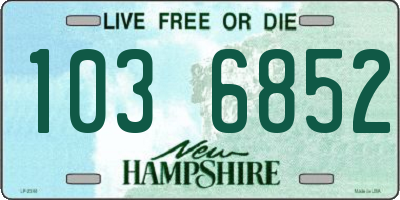 NH license plate 1036852