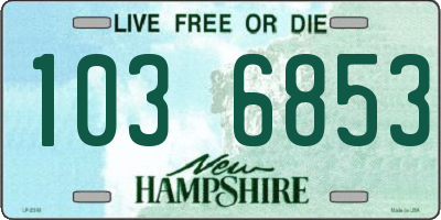 NH license plate 1036853