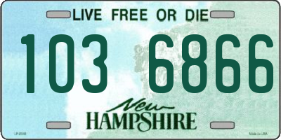 NH license plate 1036866