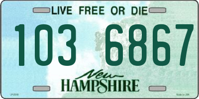 NH license plate 1036867