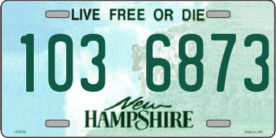 NH license plate 1036873