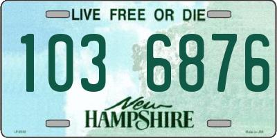 NH license plate 1036876