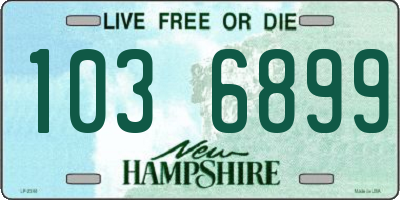 NH license plate 1036899