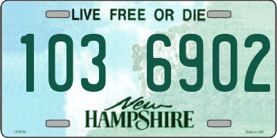 NH license plate 1036902