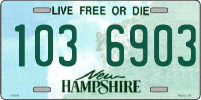 NH license plate 1036903