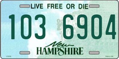 NH license plate 1036904