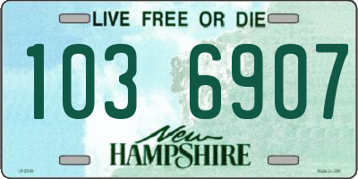 NH license plate 1036907
