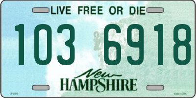 NH license plate 1036918
