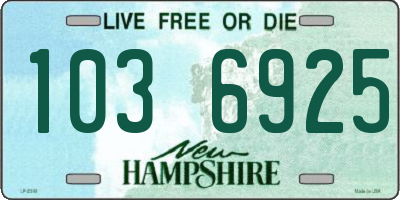 NH license plate 1036925