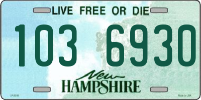 NH license plate 1036930