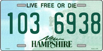 NH license plate 1036938