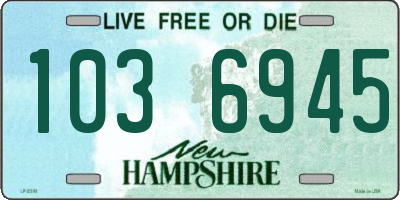 NH license plate 1036945