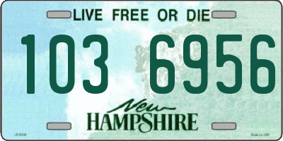 NH license plate 1036956