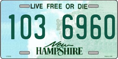 NH license plate 1036960