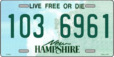 NH license plate 1036961