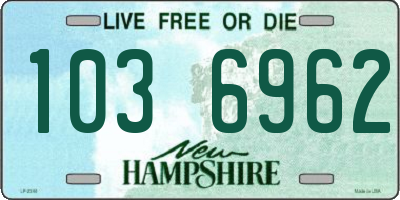 NH license plate 1036962