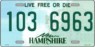 NH license plate 1036963
