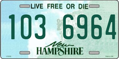 NH license plate 1036964