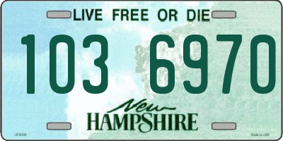 NH license plate 1036970