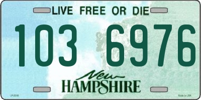 NH license plate 1036976
