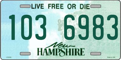 NH license plate 1036983