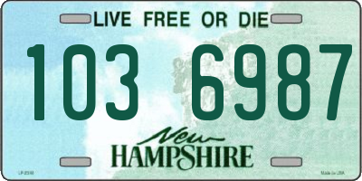 NH license plate 1036987