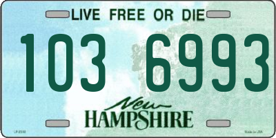 NH license plate 1036993