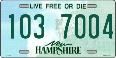 NH license plate 1037004