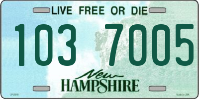 NH license plate 1037005