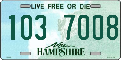 NH license plate 1037008