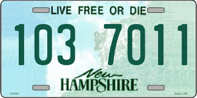 NH license plate 1037011