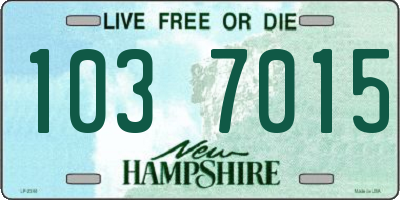 NH license plate 1037015