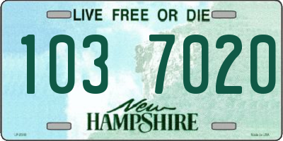 NH license plate 1037020