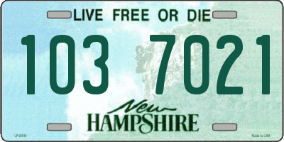 NH license plate 1037021