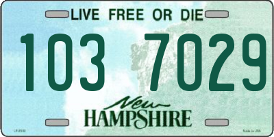 NH license plate 1037029