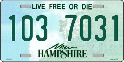 NH license plate 1037031