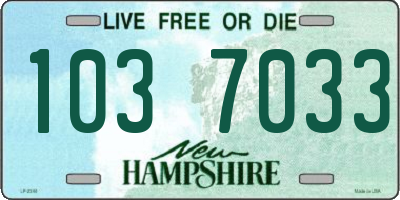NH license plate 1037033