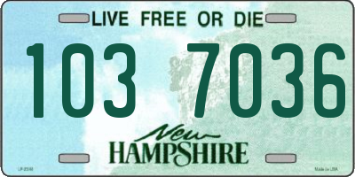 NH license plate 1037036